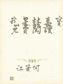 我是林喜宝小说免费阅读封面