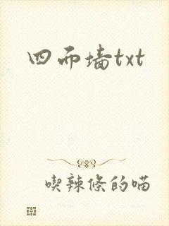 四面墙txt