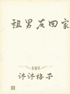 租男友回家过年封面
