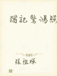 犹记惊鸿照影