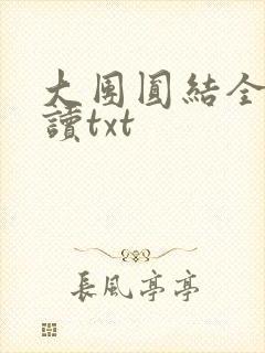 大团圆结全文阅读txt