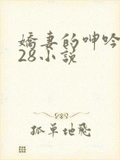 娇妻的呻吟1—28小说
