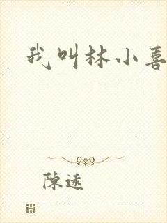 我叫林小喜17
