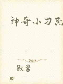 神奇小刁民
