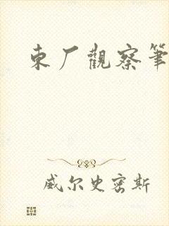 东厂观察笔记封面