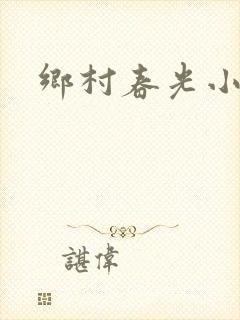 乡村春光小说