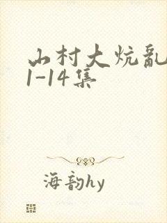 山村大炕乱肉续1-14集封面