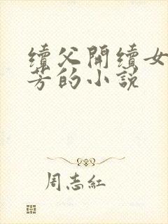 续父开续女包小芳的小说封面