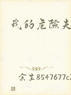 我的危险夫人
