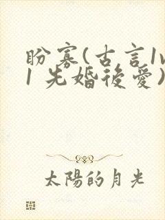 盼寡(古言1v1 先婚后爱)