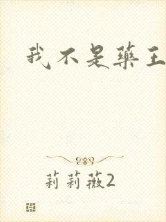 我不是药王封面