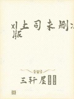xl上司未删减版