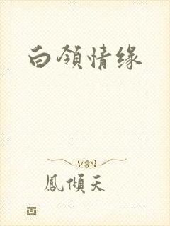 白领情缘