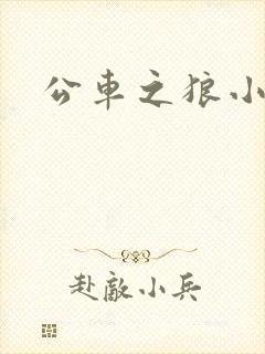 公车之狼小说封面