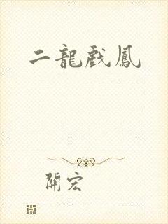 二龙戏凤