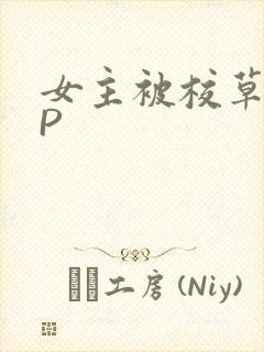 女主被校草们NP