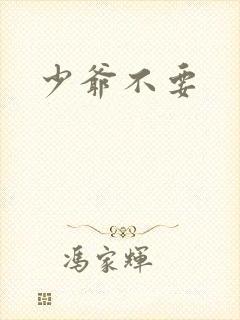 少爷不要