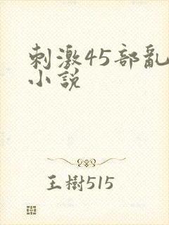 刺激45部乱亲小说封面