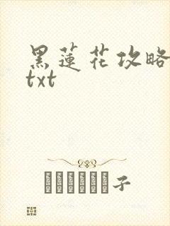 黑莲花攻略手册txt