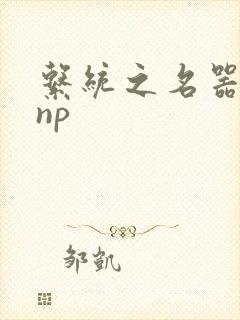 系统之名器攻略np