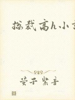 总裁高h小说封面