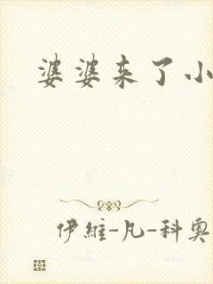 婆婆来了小说封面