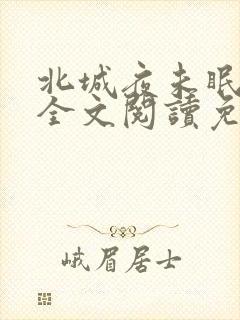 北城夜未眠小说全文阅读免费