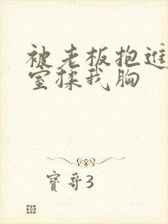 被老板抱进办公室揉我胸
