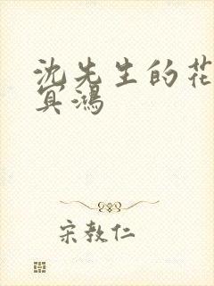 沈先生的花式调冥鸿