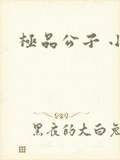 极品公子 小说封面