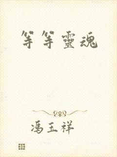 等等灵魂