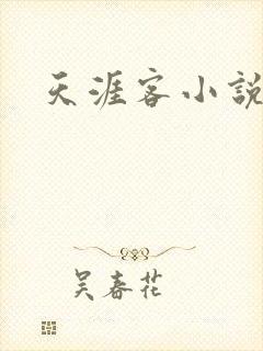 天涯客小说