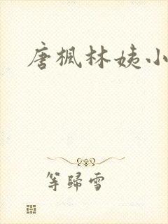 唐枫林姨小说