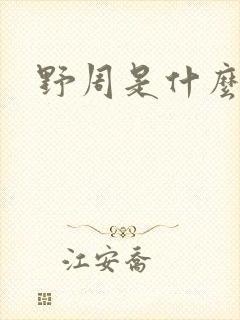 野周是什么意思