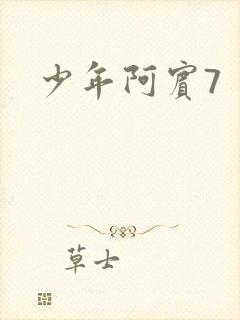 少年阿宾7封面