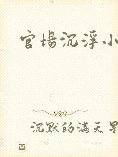 官场沉浮小说