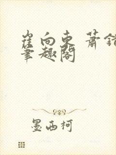 崔向东 萧错 笔趣阁封面