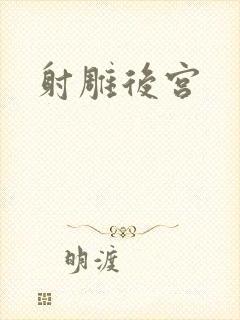 射雕后宫