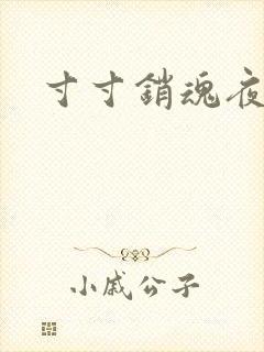 寸寸销魂夜春光