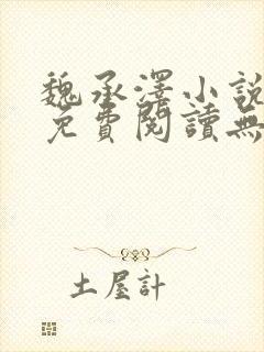 魏承泽小说全文免费阅读无弹窗笔趣封面