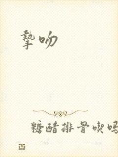 挚吻