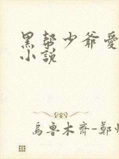 黑帮少爷爱上我小说