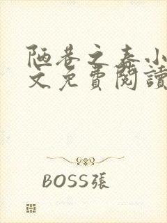 陋巷之春小说全文免费阅读封面
