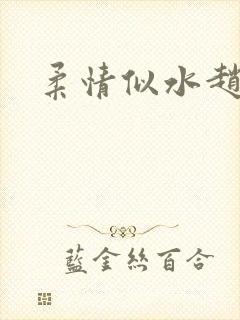柔情似水赵雅儿