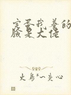 完蛋我养的小白脸是大佬