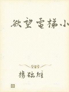 欲望电梯小说