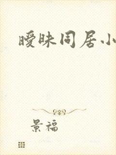 暧昧同居小说
