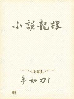 小说龙根