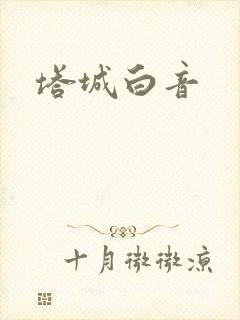 塔城白音封面