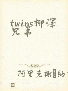 twins柳泽兄弟